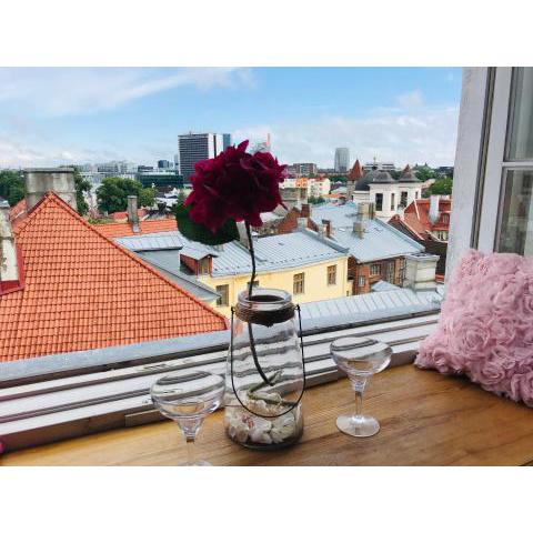 Cozy oldtown studio with magnific city view