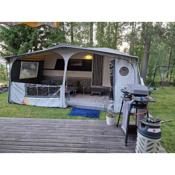 Cozy private caravan on our lawn