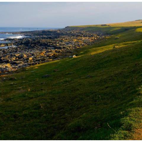 Craster Coastal Cabins