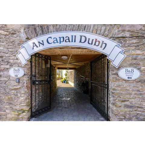 Dingle Centre Townhouse An Capall Dubh Dingle