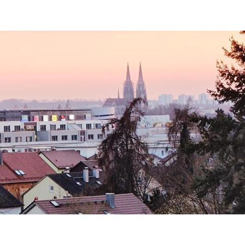 Domblick Regensburg