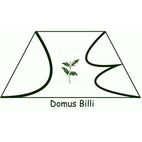 Domus Billi