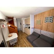 Duplex cosy 4 personnes au pieds des pistes