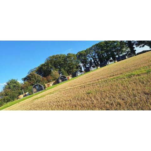 Eastfield Glamping Farm