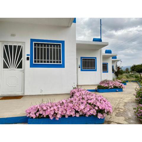 Elgreco Apartments at Tigaki near the sea 2