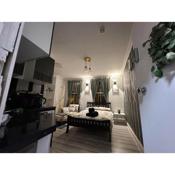 Fabulous Apartment to Acton town