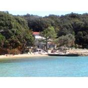 Family friendly apartments with a swimming pool Supetarska Draga - Gonar, Rab - 17860