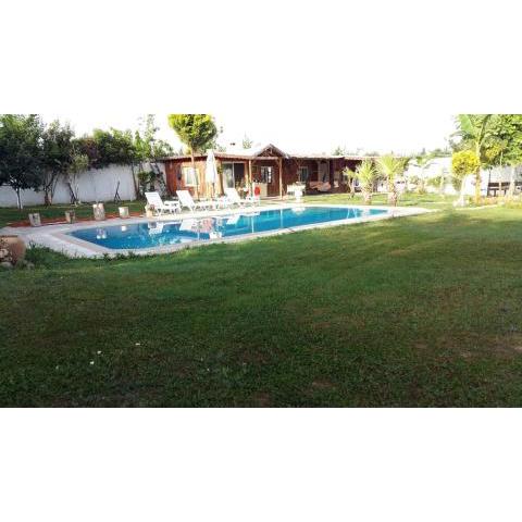 Farm House in Kusadasi