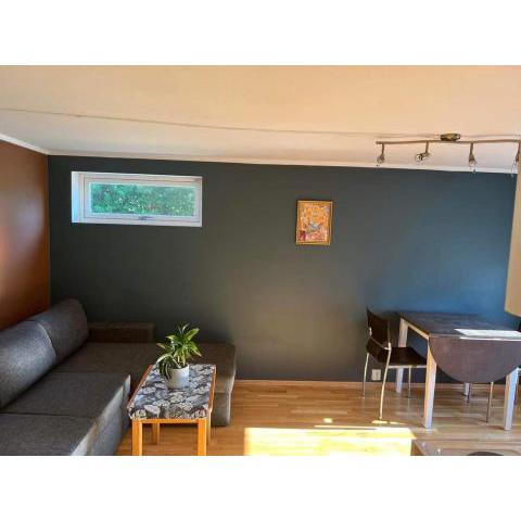 FeelHome small 1 bedroom apartment Polar vegen