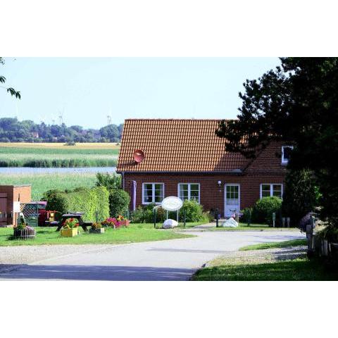 Fehmarn Ostseeferien FH4Haus Schilfrauschen 1301