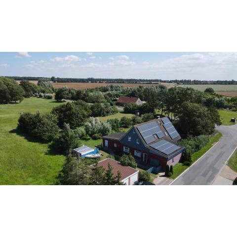 Ferienappartements am Saaler Bodden - Seemöwe