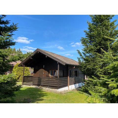 Ferienhaus-Blockhütte im Fichtelgebirge - Nagler See 2 km