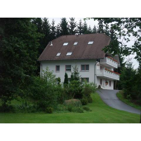 Ferienhaus Hubertus in Elend mit Balkons