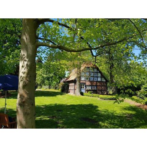 Ferienhaus in Borchel mit Grill, Garten und Terrasse