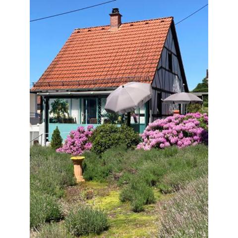 Ferienhaus mit Sauna, Wintergarten und Terrasse im schönen Hochtaunus