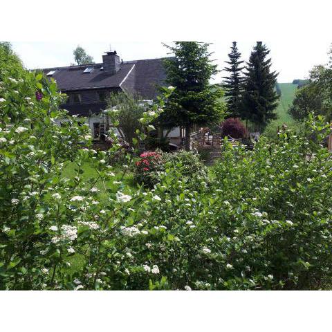 Ferienwohnung Aronia Garten