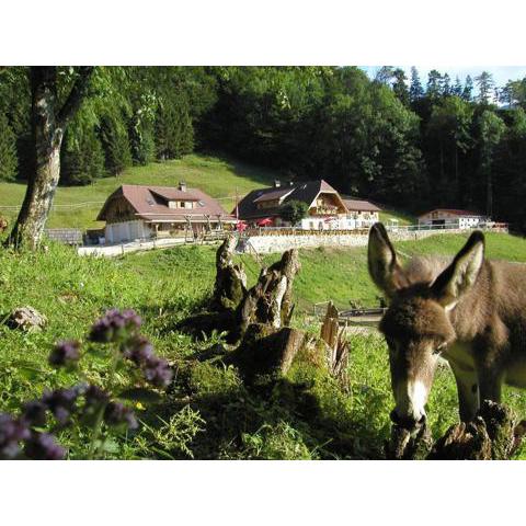 Ferienwohnung Hochsteinalm