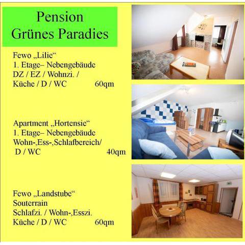 Ferienwohnung Hortensie Pension Grünes Paradies