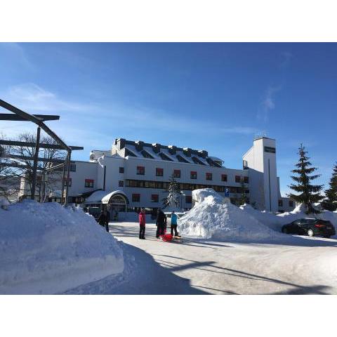 Ferienwohnung Reinhold im Predigtstuhl Resort