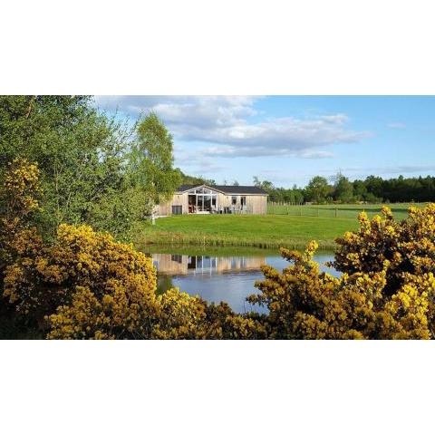 Fern Lodge - Luxury Lodge with steamroom in Perthshire