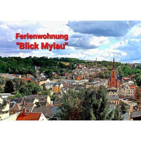 Fewo Blick Mylau-Nähe Freizeitpark Plohn und Göltzschtalbrücke - DTV-Zertifiziert