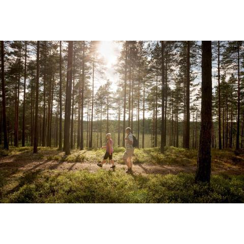 First Camp Hökensås-Tidaholm