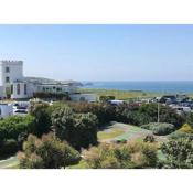 Fistral View