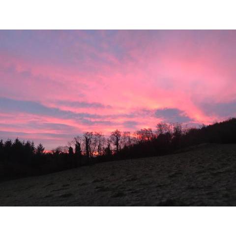 Forest View - Castlewellan, County Down