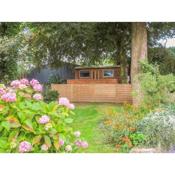 Frongoch Shepherd's Hut