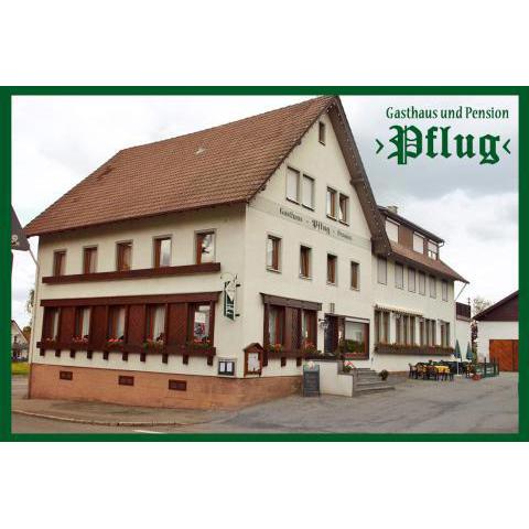 Gasthaus Pflug