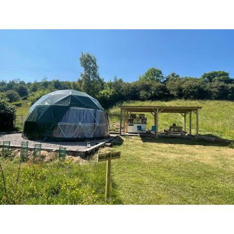 Geodesic Dome Glamping