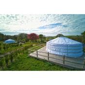 Glamping Yurts near Newquay