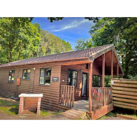 Goldcrest 4-Hot Tub-Woodland Lodges-Carmarthenshire-Tenby