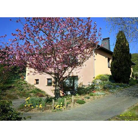 Gorgeous Holiday Home Amidst Hills in Olsdorf