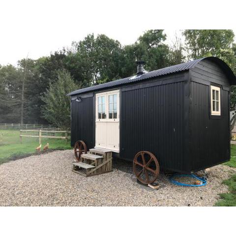 Hexhamshire Shepherd Hut