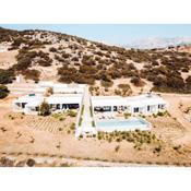 Hidden Hill Naxos Villas