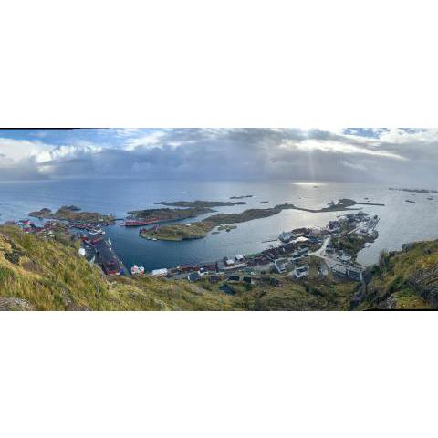 Hjellebua - Stamsund, i hjertet av Lofoten