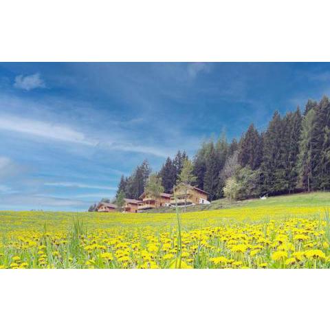 Hochleben-Chalets am Erlebnisbauernhof Steinerhof