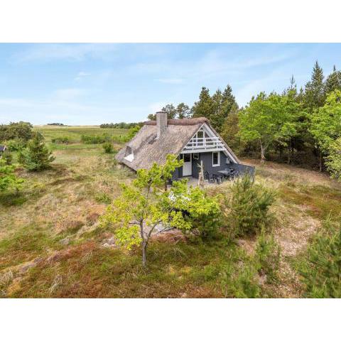 Holiday Home Antero - 4km from the sea in Western Jutland by Interhome