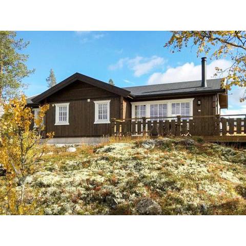 Holiday home Engerdal