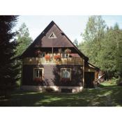 Holiday home in Dolni Dvur 2374