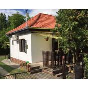 Holiday home in Fonyod/Balaton 37968
