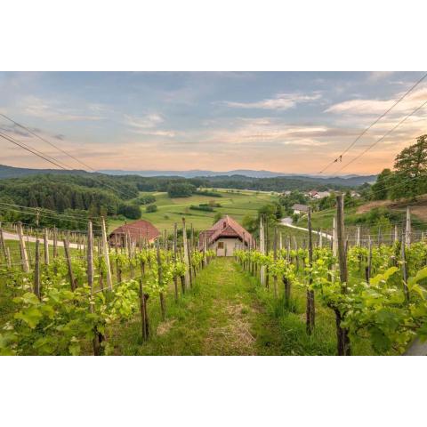 Holiday home in Trebelno - Dolenjska & Bela krajina Unter- & Weißkrain 26032