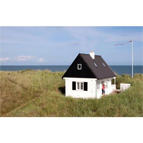 Holiday home Klitmarken Strandby X