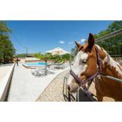 Holiday home with swimming pool, donkeys and horses