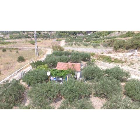 Holiday house with a parking space Bol, Brac - 12604