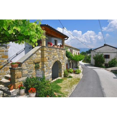 Holiday house with WiFi Paz, Central Istria - Sredisnja Istra - 16623