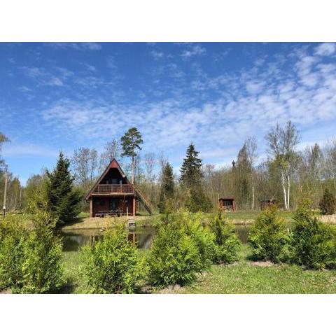 Holidayhouse with sauna and pond