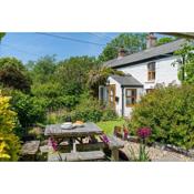 Hollow Tree Cottage