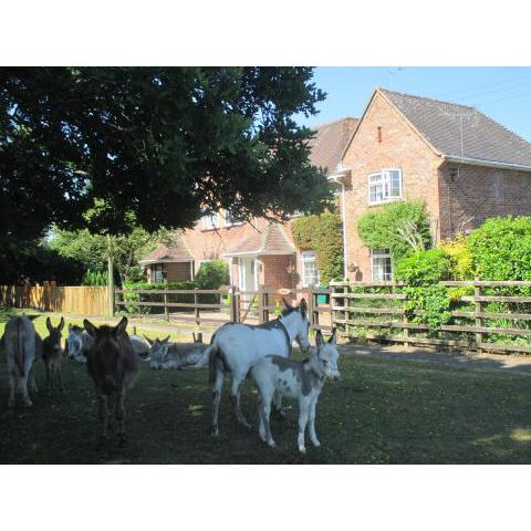 Hops Main House New Forest